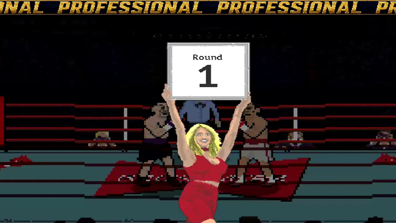 How to Play Career Mode in Bruisers 2D Boxing